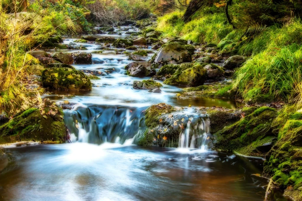 Flowing Water Paintings